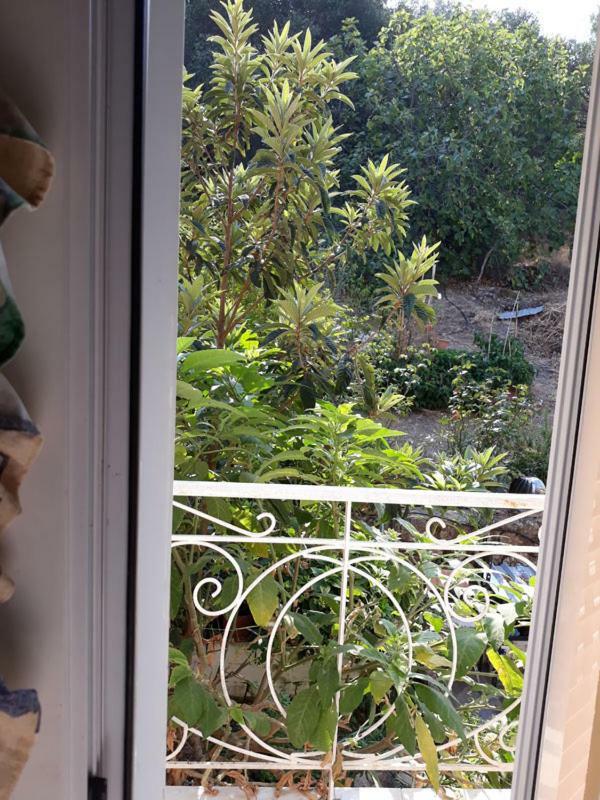 Villa Victoria Corfu Agios Matthaios  ภายนอก รูปภาพ